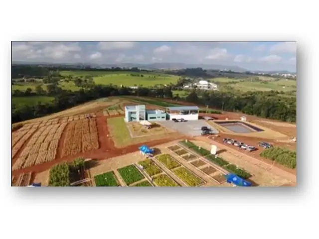 VALIDAÇÃO DE PRODUTO OU MANEJO EM CAMPO