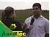 Assistência Agronômica André Carloto - 0