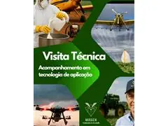 Acompanhamento para consultoria - 0