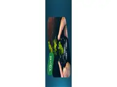 Nutrição Inteligente