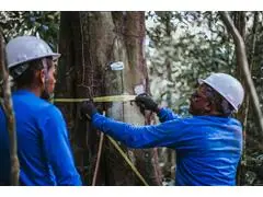 MBA SOLUÇÕES BASEADAS NA NATUREZA MERCADO E PROJETOS DE CARBONO