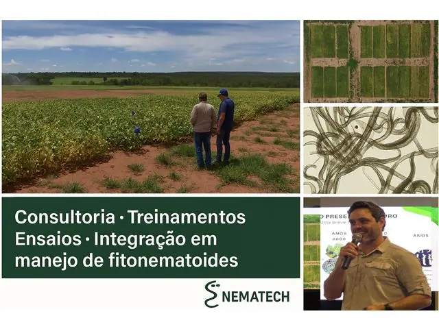 Treinamento em Desenvolvimento Profissional, Palestras e Gerencial