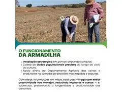 Consultoria Agronomica Maza - 1