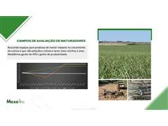 Consultoria Agronomica Maza - 6