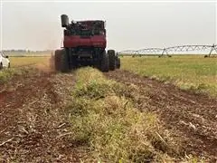 Consultoria e Pesquisa - Midas Research - 3