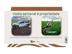 TECNOTCHÊ MONITORAMENTO - 1