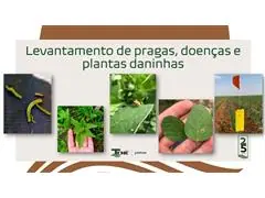 TECNOTCHÊ MONITORAMENTO - 2