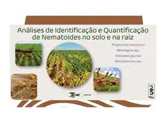 TECNO BIO - CONSULTORIA EM BIOLOGIA DO SOLO - 2