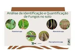 TECNO BIO - CONSULTORIA EM BIOLOGIA DO SOLO - 3