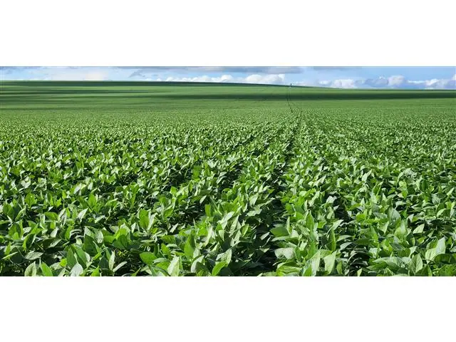 Visita Técnica Verisci