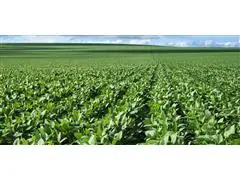 Visita Técnica Verisci