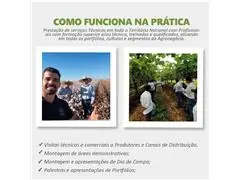 Agente gerador de demanda - Grupo OTM - 1