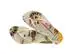 Chinelo Havaianas Sl Summer Bliss Bege Palha - 3