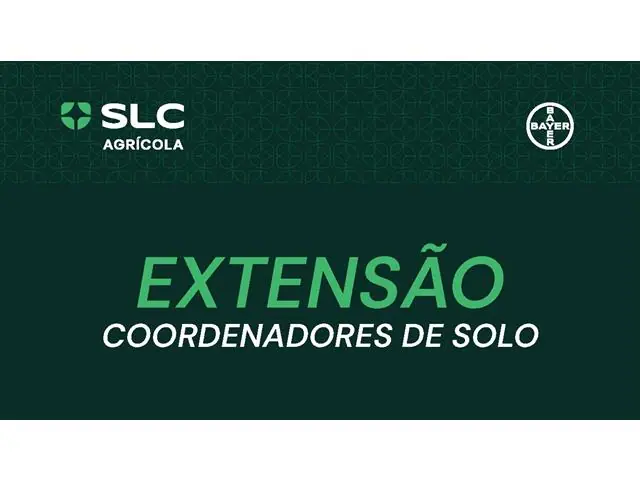 Extensão Coordenadores de solo