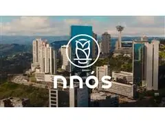 Consultoria Gestão Organizacional