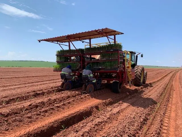 Consultoria Enercana