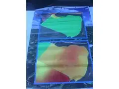 PATRULHA PERCEVEJO - 4