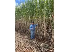 Agroespecialista - Antônio Jose da Silva - 3