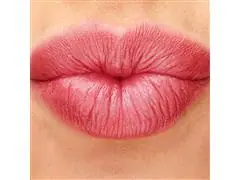 Hidratante Labial Regenerador Romã L’Occitane au Brésil 4g - 1