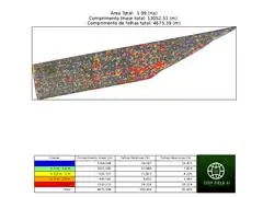 Algoritmo de IA para Restituição de Linhas e Falhas de Plantio - 2