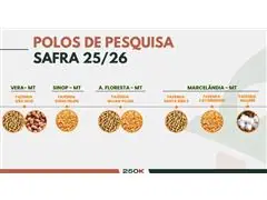 Manejo e Programação de Fungicidas (Recomendação Descomplicada) - 1