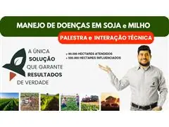 MANEJO DE DOENÇAS SOJA e MILHO - 0