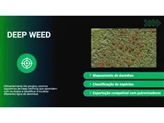 Algoritmo de IA para Mapeamento de Daninhas