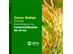 Curso Gestão Estratégica na Comercialização de Arroz - Online - 0