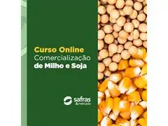 Curso Comercialização de Milho e Soja Online Safras e Mercado - 0
