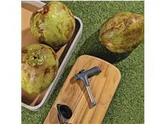 Abridor de Coco Tramontina Utilita Inox Cinza - 7