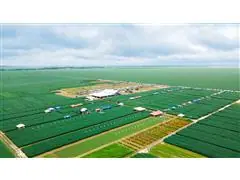 Assessoria em planejamento