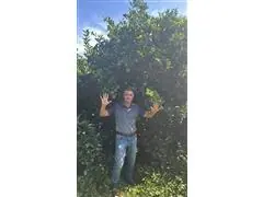 PRESTAÇÃO DE SERVIÇO NA AGRICULTURA (ANÁLISE DE SOLO) - 2