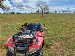 Agricultura de precisão - AGRORK - 3