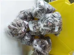 Agricultura de precisão - AGRORK - 4