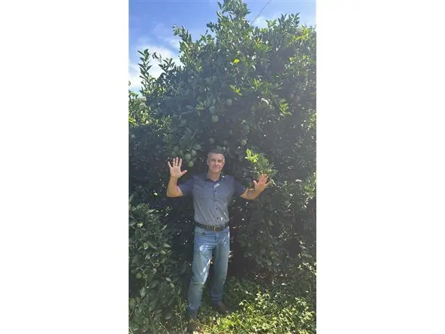 PRESTAÇÃO DE SERVIÇO NA AGRICULTURA (ANÁLISE DE SOLO)