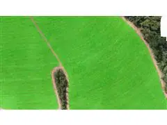 SOFTWARE NELORE TECH LINES E ANALISE DE PARALELISMO