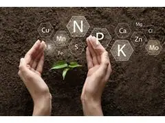 Análises agricolas Ubersolo - 0