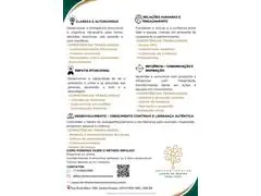 Impulso In Company - 1