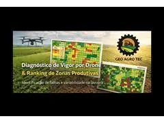 Diagnóstico de vigor da lavoura com imagens de Drone - 3