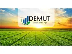 Gestão de Crédito e Cobrança - 0