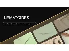 Palestra em dia de campo - 1