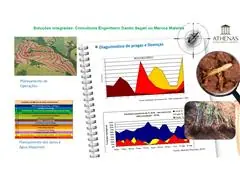 Serviço de Consultoria Agronômica - Athenas