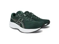 Tênis Asics Raiden 5 Dusty Fern/Light Dust Masc Tam 40