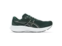 Tênis Asics Raiden 5 Dusty Fern/Light Dust Masc Tam 41 - 2