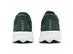 Tênis Asics Raiden 5 Dusty Fern/Light Dust Masc Tam 41 - 5