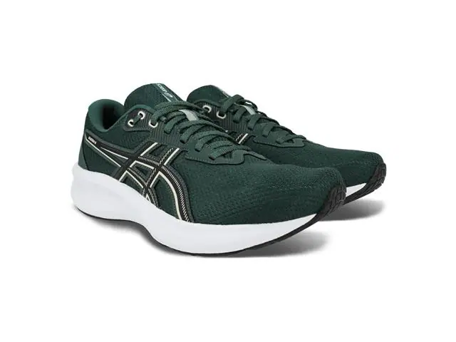 Tênis Asics Raiden 5 Dusty Fern/Light Dust Masc Tam 42
