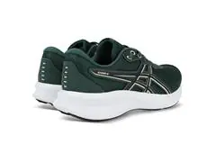 Tênis Asics Raiden 5 Dusty Fern/Light Dust Masc Tam 44 - 1