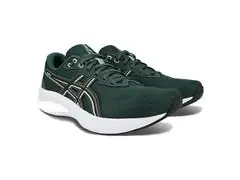 Tênis Asics Raiden 5 Dusty Fern/Light Dust Masc - 0