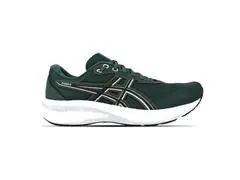 Tênis Asics Raiden 5 Dusty Fern/Light Dust Masc - 2