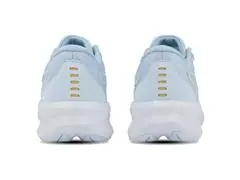 Tênis Asics Raiden 5 Soft Sky/Champagne Fem - 5